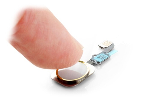Przycisk HOME BUTTON TOUCH TAŚMA IPhone 6S 6S Plus Przycisk HOME BUTTON TOUCH TAŚMA IPhone 6S 6S Plus